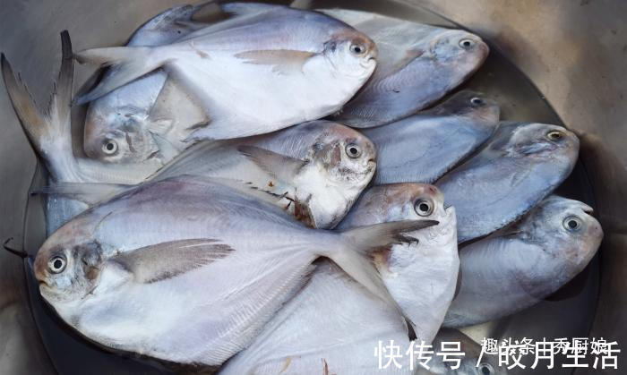 面粉|秋天碰到此鱼,我从不还价,一次准买5斤,营养极高,煎着吃最香