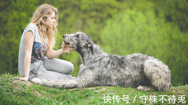 奇怪知识|23个冷知识：得到过验证，可以使人博学的奇怪知识