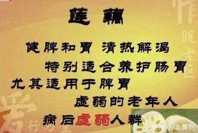 莲子芯|“水中珍宝”这样吃，媲美人参！控血脂、健脾胃、祛湿气……错过太可惜