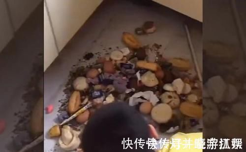 熊孩子|妈妈发现了一个不爱吃早饭的“熊孩子”,真想不到,藏得也太深了