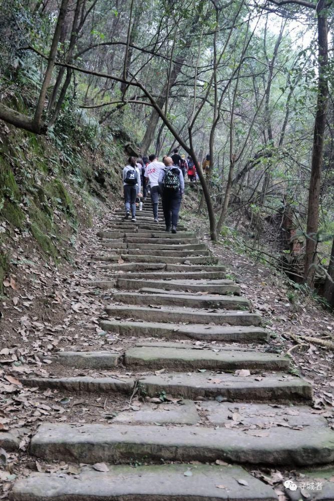 更喜南山千倾野，卅公里后尽开颜