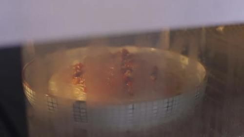 蒸菜|教你做百吃不厌的3款蒸菜,0油烟,美味又健康