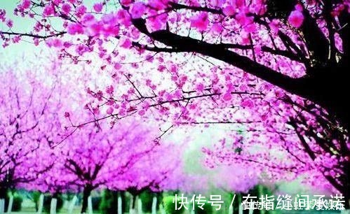 九日次韵王巩|这七个成语难倒多数中国人,你也试试看包不包括你