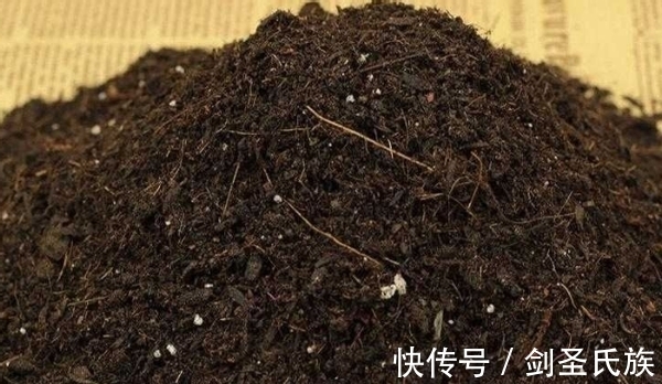 烂根|先弄清这3样土质的“特点”，后续养花配土才不会出错