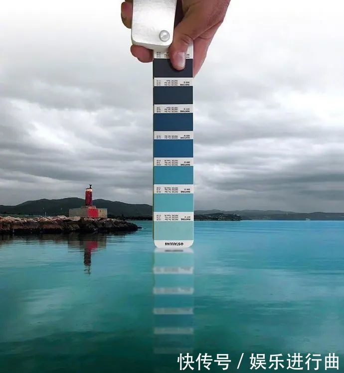 参考|配色参考|INS博主超有趣的自然高级配色!插画设计存起来!