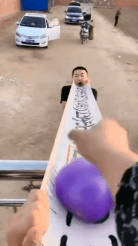 |搞笑GIF:我就在旁边静静地看着,这都是惹谁了?