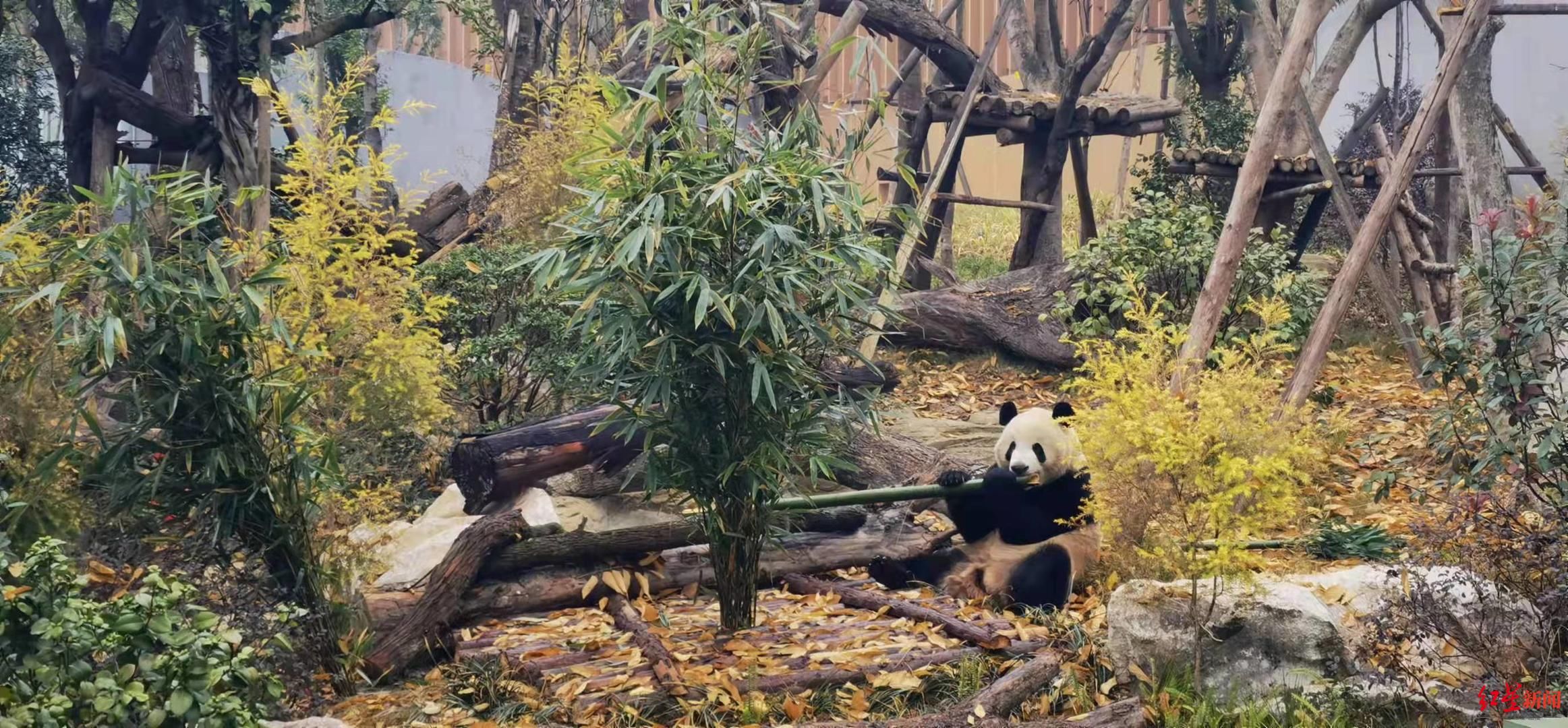 青龙湖|元旦最in耍法！沿着环城生态公园，绕成都耍一圈