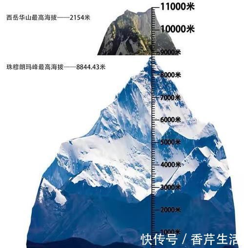 物种 6000米深海中发现新“物种”，科学家却高兴不起来，这是为何