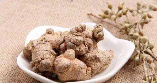 金疮药|被前人誉为“金疮药”,更是中药里治心脑血管疾病的良药