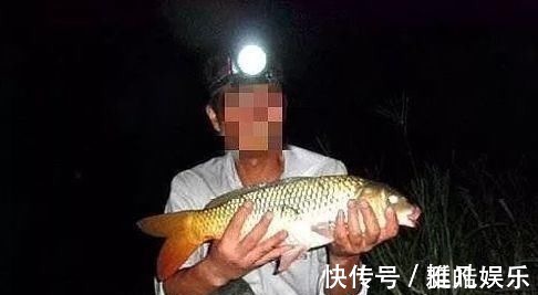 垂钓|夜钓鲤鱼,真的不用吹,这套钓法最管用,大鲤鱼接连入护