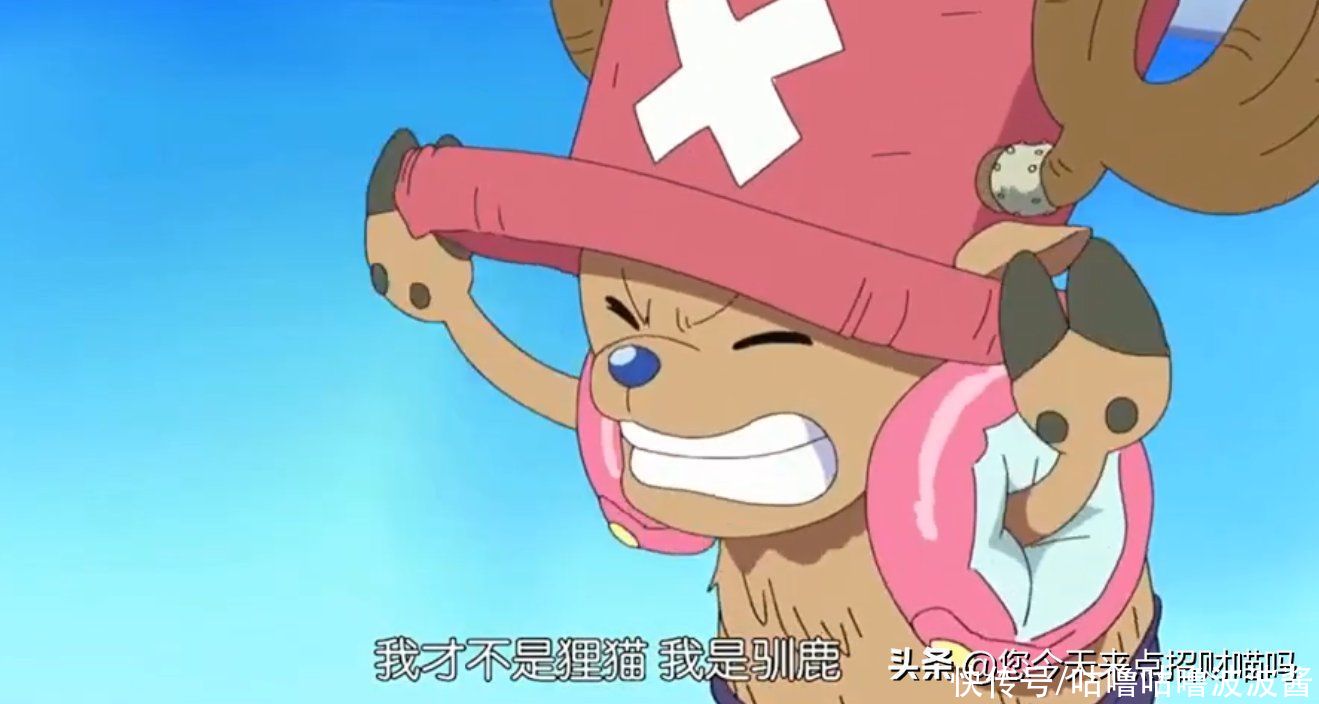 喬巴|海賊王：喬巴是“最慘”團寵？海迷：50貝利賞金，打著過億的戰斗