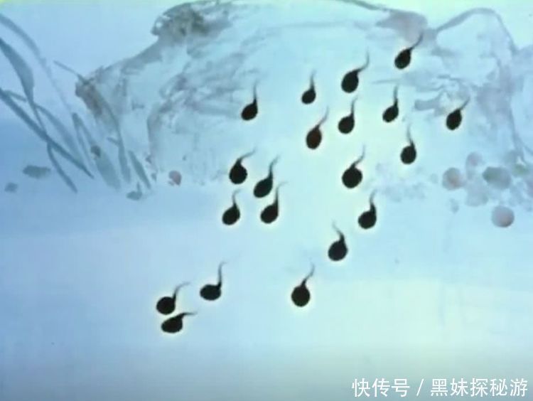 男性最“伤精”的行为,尤其是第2个,很多男性知道却明知故犯