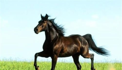  心理|俗语“家中有六项，人败家也散”，指的是哪六项？沾一项就需注意