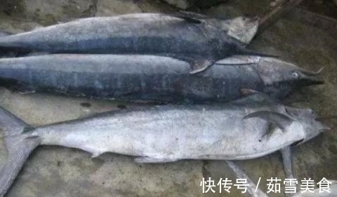 食肉鱼|宝宝吃鱼更聪明?这7种鱼,一口都不能给宝宝吃!