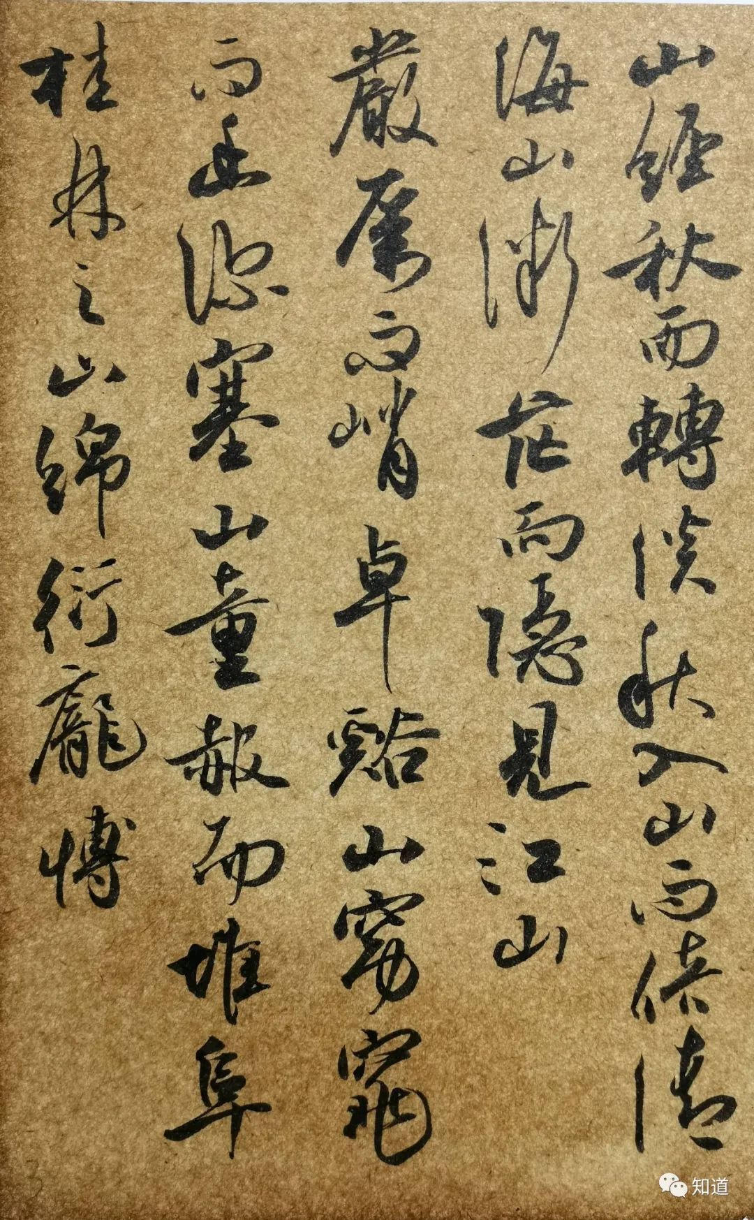 捷径#学书法,不临帖想走捷径,反映了人的劣根性