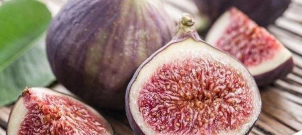 黄体酮|以下几种是天然黄体酮,女性常吃,补充雌激素,子宫更干净