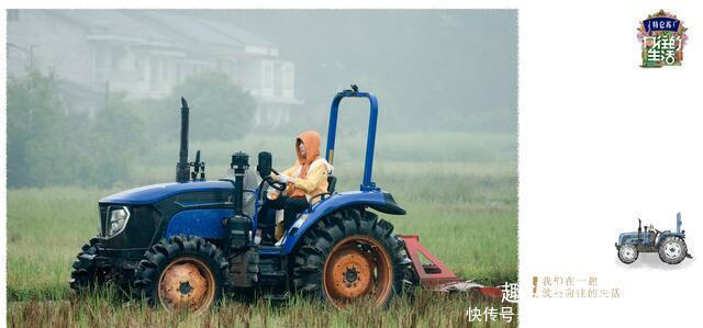 节目 下期《向往》要火,杨紫还没走,他俩又来了,还是《跑男》老成员