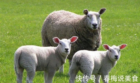 福气|农历哪几个月出生的属羊人，福气深厚，贵人多助，日子财富不缺
