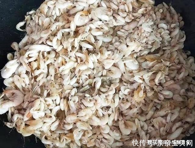 强筋健骨|它是天然“钙库”，孩子要多吃，强筋健骨长得快，比喝牛奶好