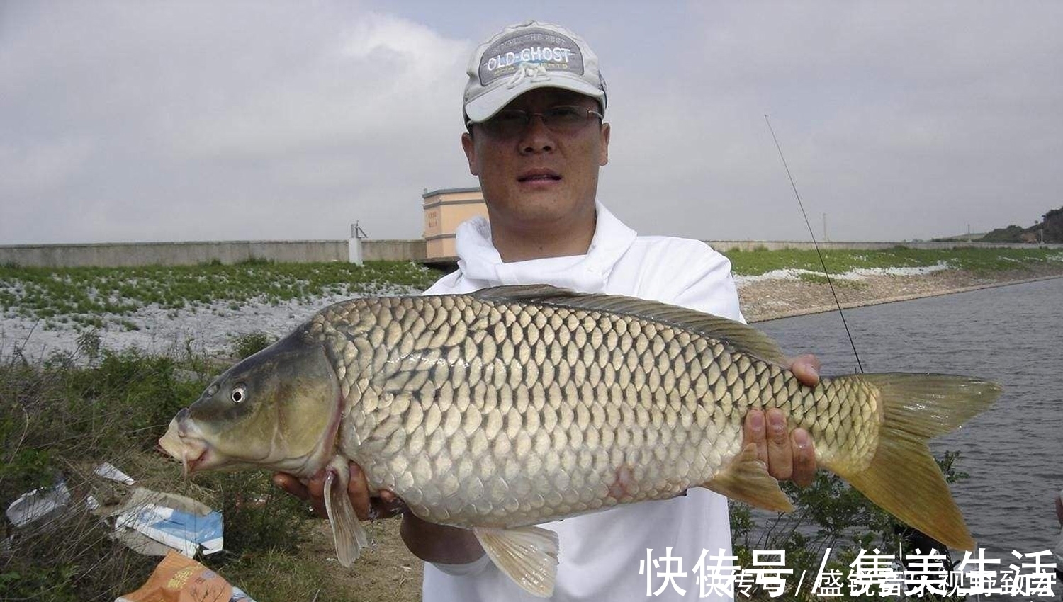 回锅鱼|什么物质的气味是鲤鱼非常喜欢的?钓鲤鱼轻松爆护的四种物质