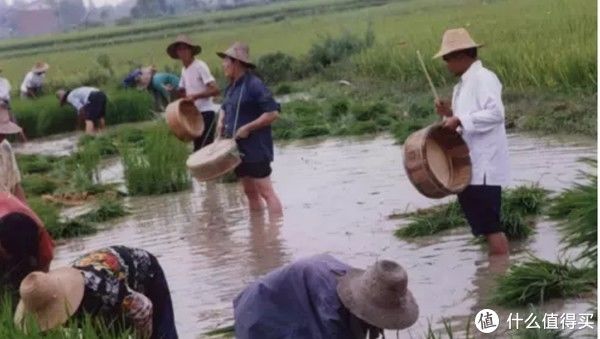华夏|何谓风物，不过恋家。晒晒最近收到的华夏风物盲盒