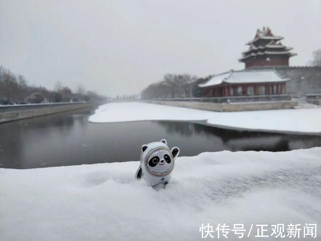 雪景|冰墩墩也来“打卡”故宫雪景了