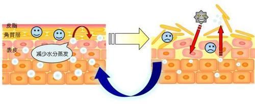 皮肤又油又干还爱起屑是怎么回事？