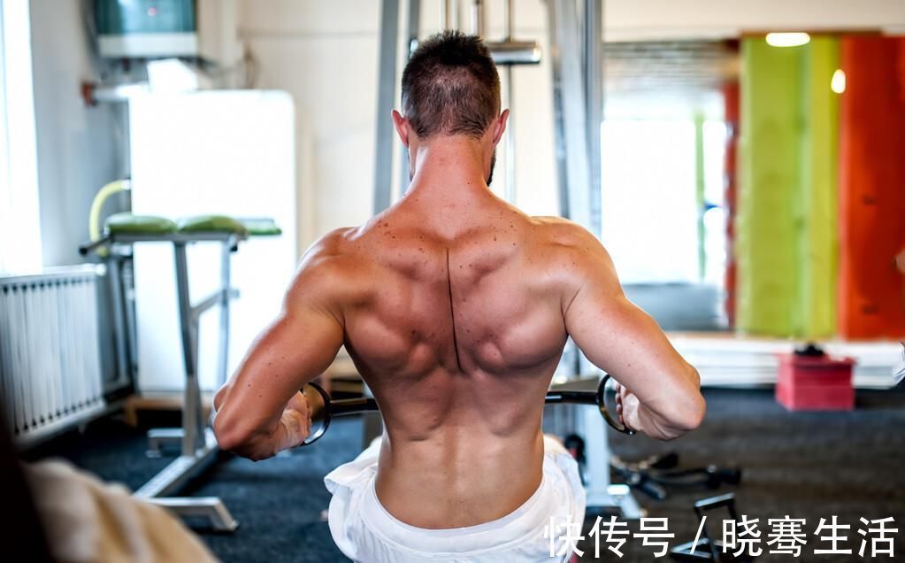 科学|如何科学增肌?从这几个法则入手,帮你提高肌肉维度!