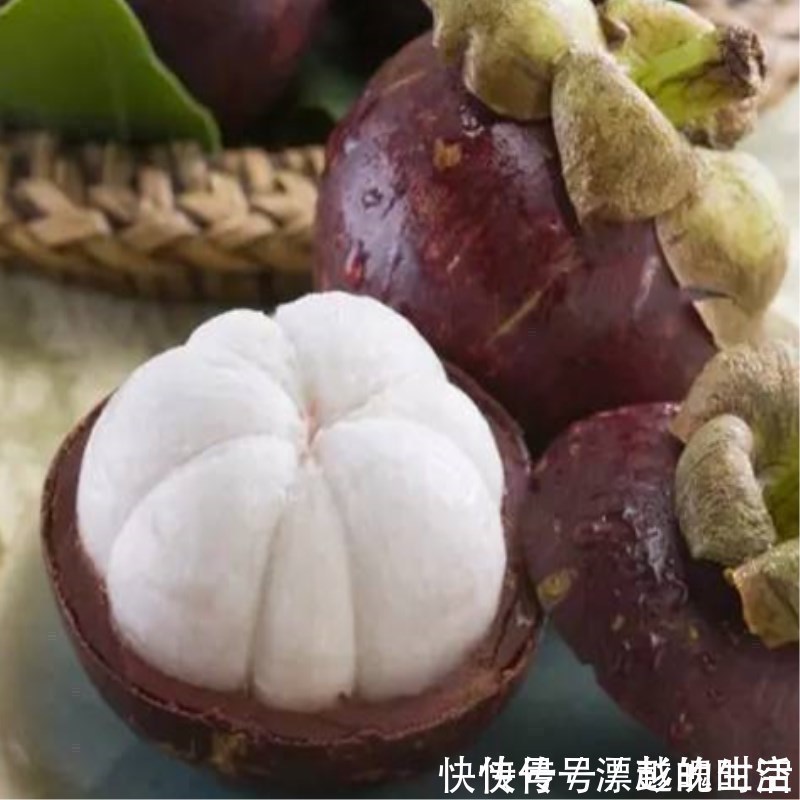 要是你家有空地,推荐这6株果苗,沾土就活,新鲜水果吃不完