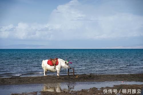 这片地处西北的广阔水域，是我国最大湖泊，曾经还有一座海军基地