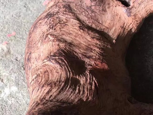 天价|地摊2万买了个木头“猪蹄”,切出天价手串