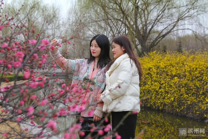 老年|邹平韩店：初春景色美如画