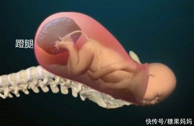 顺产|妈妈拼命顺产时，胎儿在努力“帮忙”，知道过程就不害怕生娃了