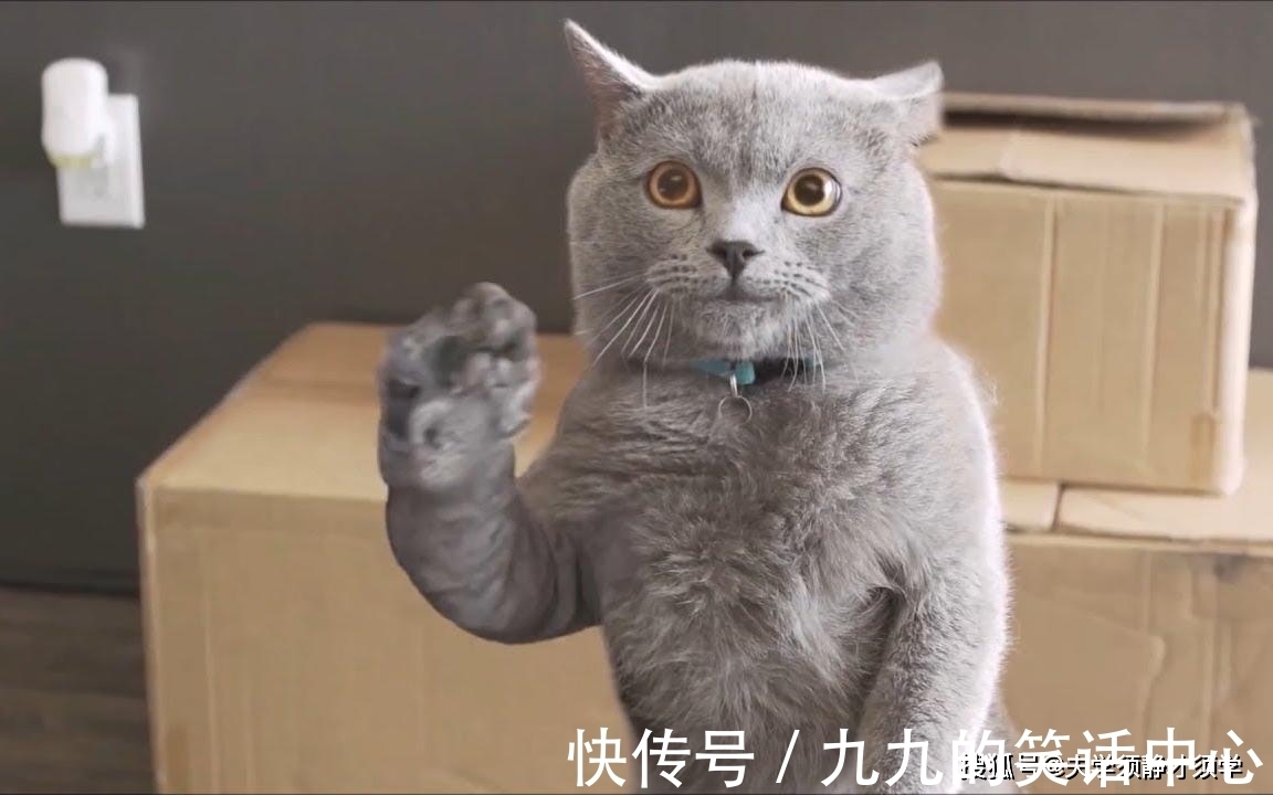 |内涵段子:晚饭过后,老公对我说道:媳妇,我要戒烟了!