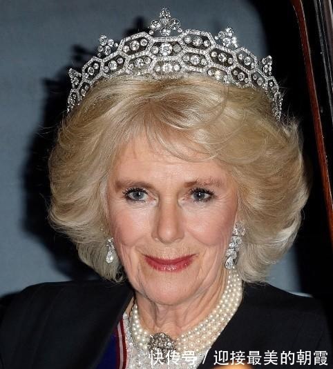 蛇形项链 卡米拉的蛇形项链20年前做情人时查尔斯送的,蛇蝎气质一目了然