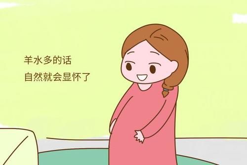 显怀|孕期几个月会显怀？