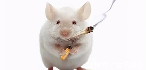 预防|癌症不是突然出现，从无到有分6步。医生提醒：预防关键是前4步