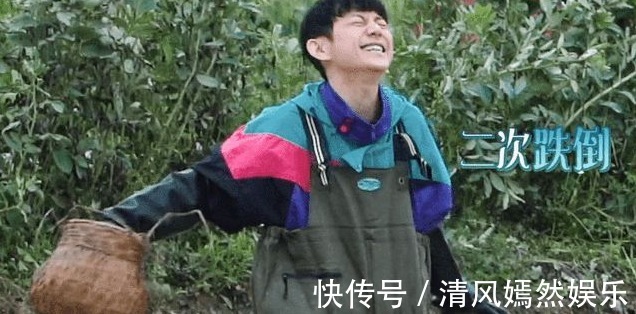 那英|《向往》中黄磊的厨艺人人称赞那英这鸡爪没味道啊