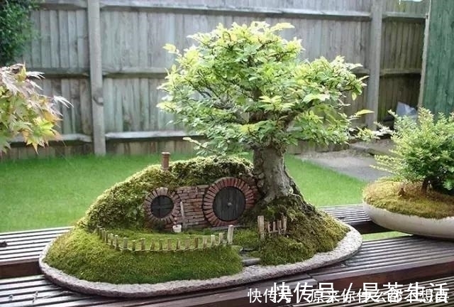 盆栽|世界上又一奢侈品《盆栽》一盆就是一座房子！