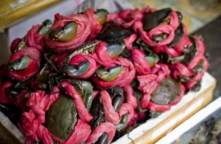 便宜|老爷爷沿街卖“红绳蟹”,15元一只,都怕被坑,切开后却尬住了