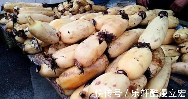 脆嫩|买莲藕，学会区分“粉藕”和“脆藕”，差别很大，弄明白了不买错