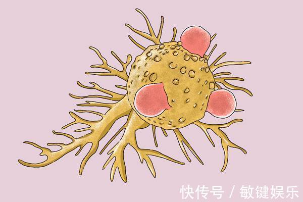 辛辣刺激|得了癌症,真的不能吃牛羊肉吗列出忌口清单,榜中食物最好别吃