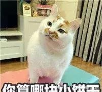 病人|“我就啃了俩苹果……”病人一句话把医生搞疯,哈哈哈哈哈