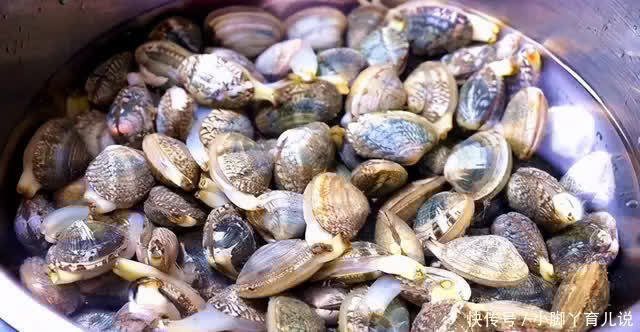洗花蛤时，最忌直接加盐洗，老渔民教我3招，花蛤疯狂吐沙