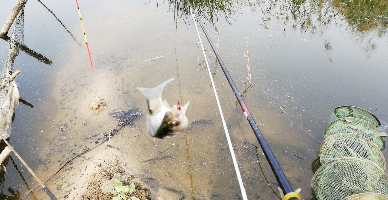 钓友|能钓多少鱼，并不是靠饵料、小药和打窝，而是由它“决定”