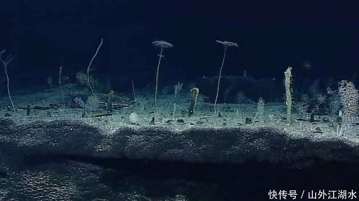 马里亚纳海沟，深度可达一万多米，在一万米处的水还是液态吗