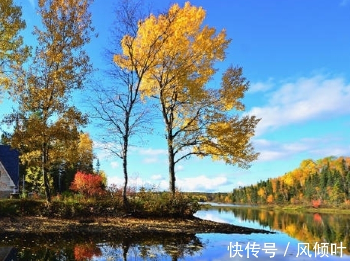 秋夜|「诗词欣赏」初唐王绩的诗:言语朴素自然,诗情画意交融