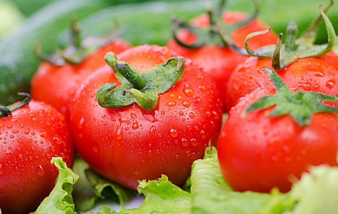 才知道，这种西红柿不能吃，看完以后别再买了，都看一看吧