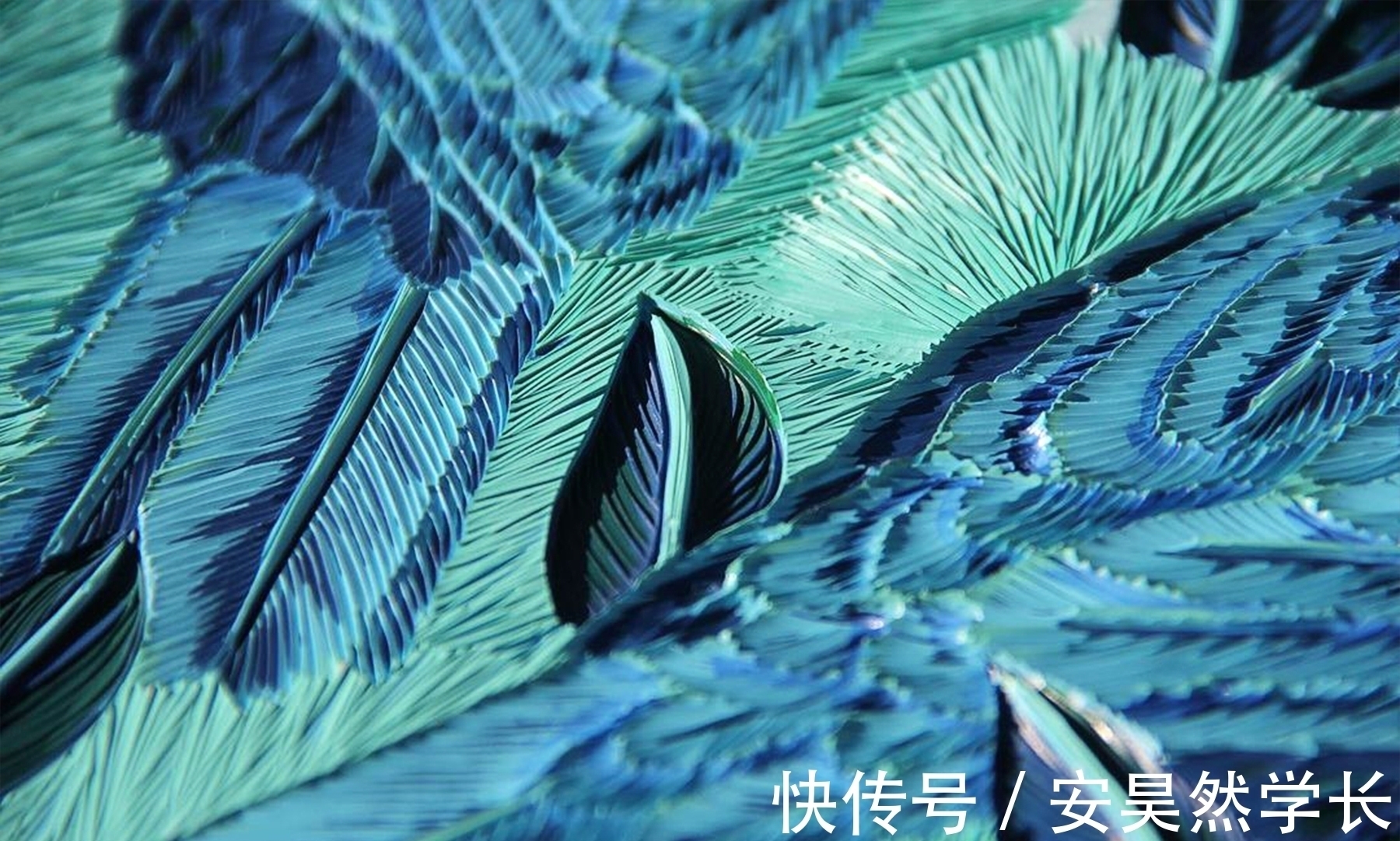 冲浪板@80层颜料之下的故事:时光雕刻者,与刀刃为伴的漆雕艺术家