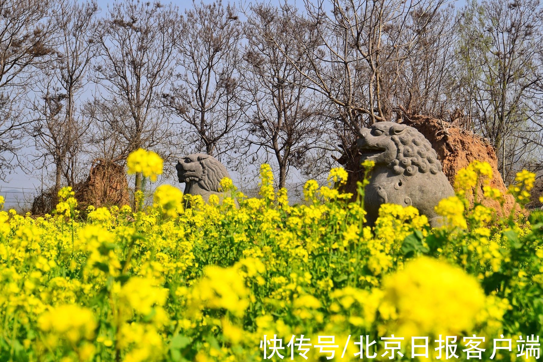 巩义&巩义田野之中的石像生,留下北宋王朝最后的背影
